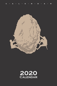 Climbing rocks stone Calendar 2020: Annual Calendar for Climbing fans and fitness enthusiasts