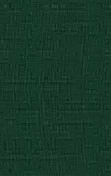 Hardcover Advances in Child Development and Behavior: Volume 32 Book