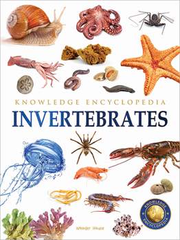 Paperback Animals: Invertebrates Book