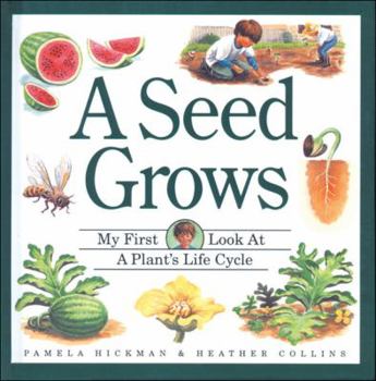 Hardcover A Seed Grows Book