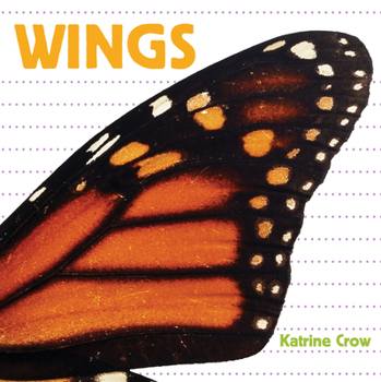 Board book Wings Book