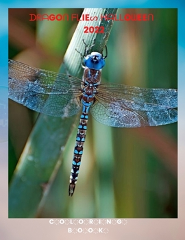 Paperback Dragonflies: Dragonflies coloring book