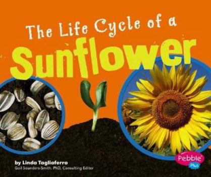 Hardcover The Life Cycle of a Sunflower Book