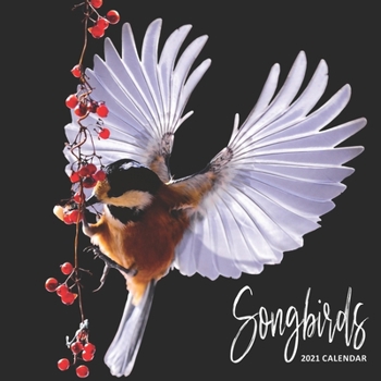 Paperback Songbirds: 2021 Calendar Book