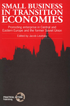 Paperback Small Business in Transition Economies: Promoting Enterprise in Central and Eastern Europe and the Former Soviet Union Book