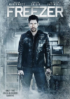 DVD Freezer Book