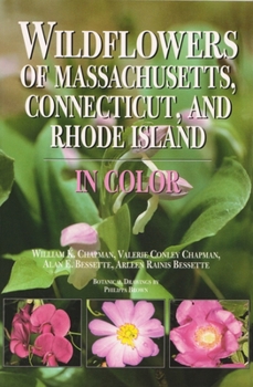 Paperback Wildflowers of Massachusetts, Connecticut, and Rhode Island in Color Book