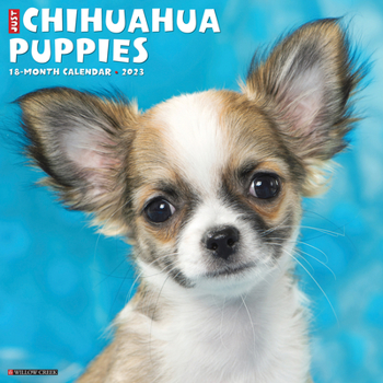 Calendar Just Chihuahua Puppies 2023 Wall Calendar Book