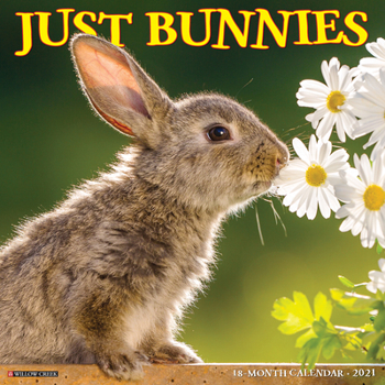 Calendar Just Bunnies 2021 Wall Calendar Book
