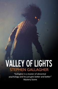 Paperback Valley of Lights Book