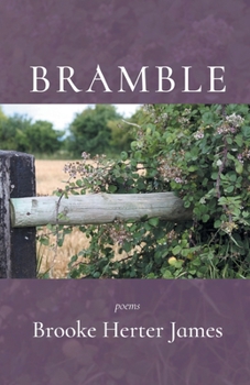 Paperback Bramble Book