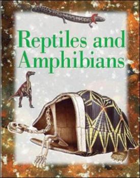 Paperback Reptiles and Amphibians: Set Three (Explorers) Book