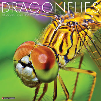 Calendar Dragonflies 2021 Wall Calendar Book