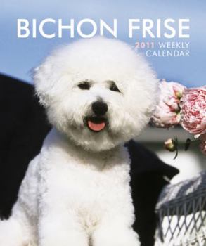 Diary Bichon Frise 2011 Hardcover Weekly Engagement Book