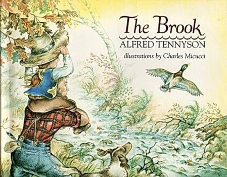 Hardcover The Brook Book