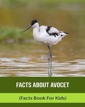 Facts About Avocet (Facts Book For Kids)
