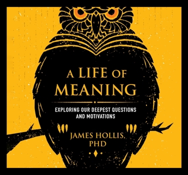 Audio CD A Life of Meaning: Exploring Our Deepest Questions and Motivations Book