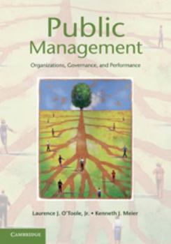 Electronics Public Management: Organizations, Governance, and Performance Book
