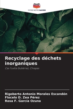 Recyclage des déchets inorganiques (French Edition)
