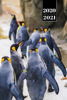Penguin Puffin Antarctica Seabird Week Planner Weekly Organizer Calendar 2020 / 2021 - The Hike: Cute Wildlife Animal Pet Bullet Journal Notebook Diary in 6” x 9” Inch Pocket Size