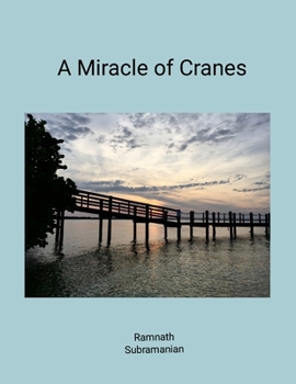 Paperback A Miracle of Cranes Book