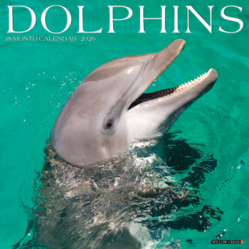Calendar Dolphins 2026 Wall Calendar Book