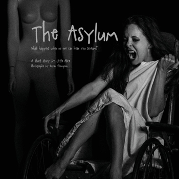 Paperback The Asylum: What happens when no one can hear you scream? Book