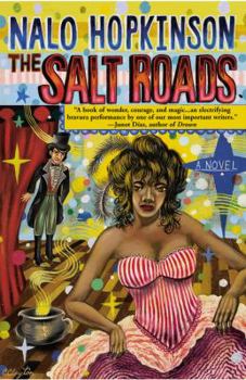 Paperback The Salt Roads Book