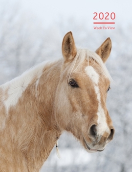 2020 A4 Diary Week To View Planner For All Occasions: | Year Planner For Business, Office, Home, University, College, School, Appointments, Organizer.