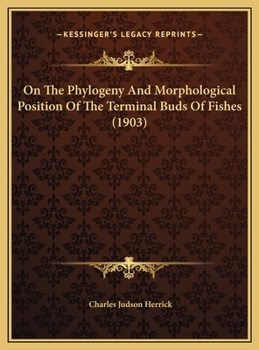 On The Phylogeny And Morphological Position Of The Terminal Buds Of Fishes