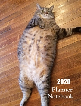 Paperback 2020 Planner Notebook: Funny Tabby Cat Planner Book With Monthly and Weekly Calendars, Monthly Habit Tracker, Vision Board and Brain Dump She Book