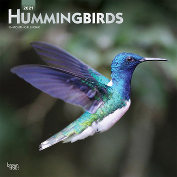 Calendar Hummingbirds 2021 Square Foil Book