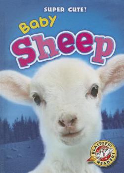 Baby Sheep - Book  of the Super Cute!