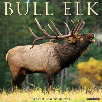 Calendar Bull Elk 2025 12 X 12 Wall Calendar Book