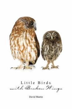 Paperback Little Birds with Broken Wings Book