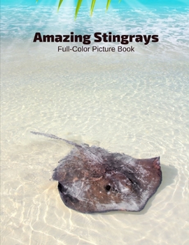 Paperback Amazing Stingrays Full-Color Picture Book: Ocean Animals -Marine Life Book