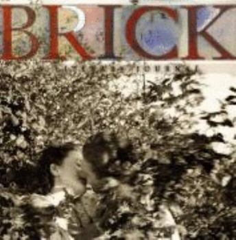 Paperback Brick - A Literary Journal Book