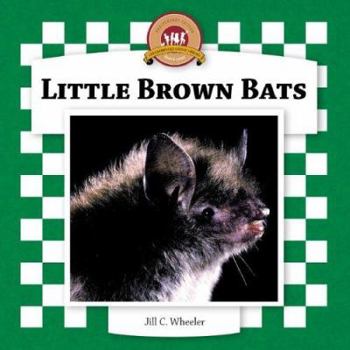 Little Brown Bats - Book  of the Bats