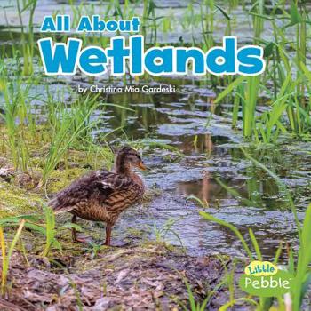Paperback All about Wetlands Book