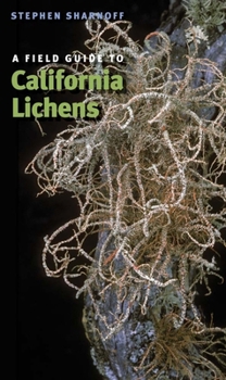 Paperback A Field Guide to California Lichens Book