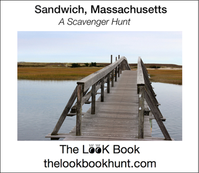 Paperback The Look Book, Sandwich, Ma Book