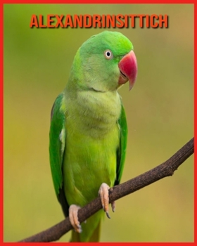 Alexandrinsittich: Unglaubliche Bilder und Wissenswertes ?ber Alexandrinsittich