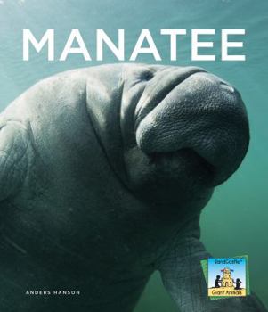 Manatee - Book  of the Sandcastle Giant Animals