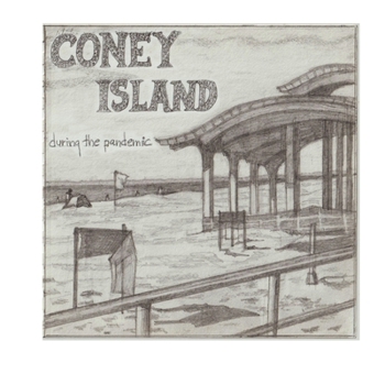 Paperback Coney Island During the Pandemic Book