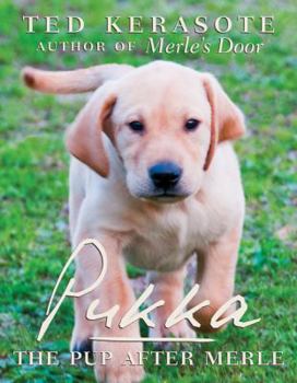 Hardcover Pukka: The Pup After Merle Book