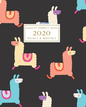 2020: Weekly and Monthly Planner/Calendar Jan 2020 – Dec 2020 Colorful Llama Pattern on Black