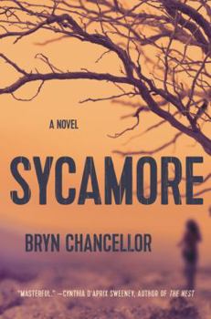 Hardcover Sycamore: A Novel Book