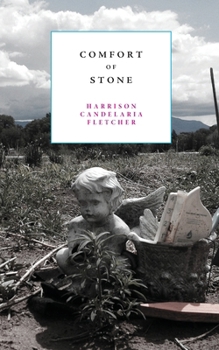 Paperback Comfort of Stone Book