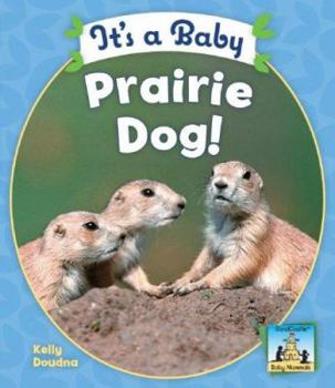 Library Binding It's a Baby Prairie Dog! Book