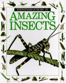 Paperback Amazing Insects Book